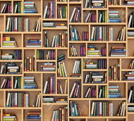 Bookshelf